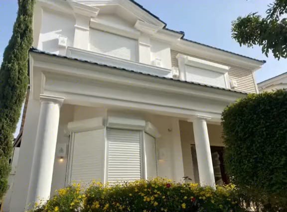 تصميم 81