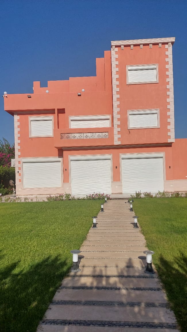 تصميم 83